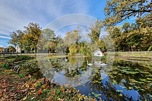 Swan`s Lake landscape in Craiova, Romanescu Natural Park