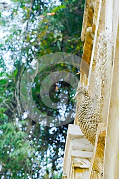 Swan stonecutting statue on the wall islated in nature background