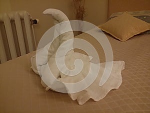 Swan