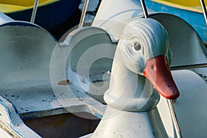 Swan Water Bicycle