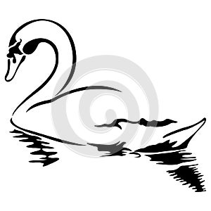 Swan on the water in black in flat style. Design suitable for textiles, factories, animal logo, tattoo, farm, decor, decoration