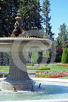 Swan water fountain in garden park