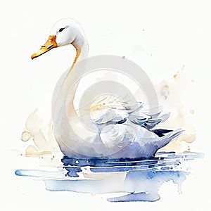 Swan on water. Hand drawn watercolor illustration on white background Generative AI