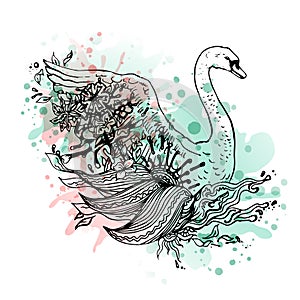 Swan watercolor, abstract graphic colored bird, print.