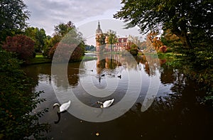 Swans and ducks swimming in the pond in front of the New Castle