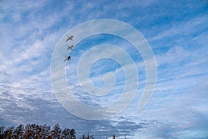 swans flying in formation in the blue afternoon sky