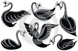 Swans, flying, resting swans. Bird with a crown .Tattoo design