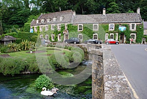 Swans on the River Coln in front of the Swan Hotel, Bibury, England