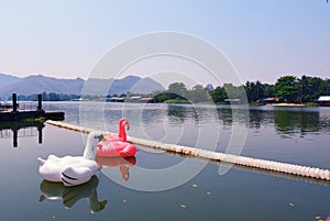 Swans toy on riverkwai river kanchanaburi province thailand