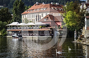 Swans on Vltava river, Prague