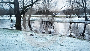 Swans on a water channel in the city of Slupsk in winter photo