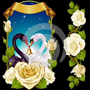 Swans and white Roses