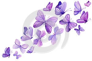 Swarm of beautiful butterflies, set of purple butterflies on isolated white background, watercolor violet illustration