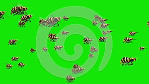 Swarm of Bees Fly Green Screen 3D Renderings Animations