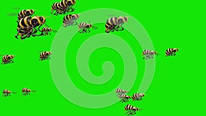 Swarm of Bees Wasps Fly Green Screen 3D Renderings Animations Insects
