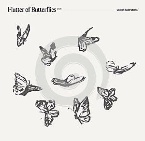 Swarm of butterflies, vector illustration, sketch