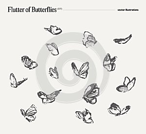 Swarm of butterflies, vector illustration, sketch