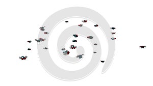 Swarm of Flies. 3D animation in cartoon style. Alpha channel, loopable.