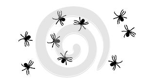 Swarm of spiders, CG animated silhouettes on white, seamless loop