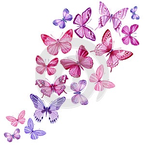 Swarm tropical butterflies on an isolated white background, watercolor painting. Hand painted pink and purple butterfly