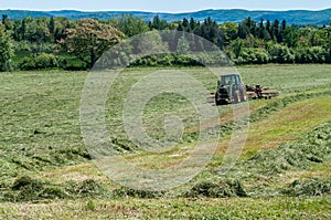 Swathing hay