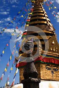 Swayambhu Stupa