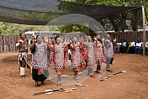 Swazi dancers