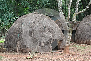 Swaziland traditional hut
