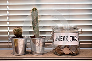 Swear jar on a kitchen window ledge