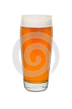 Sweated Craft Pub Beer Glass 7