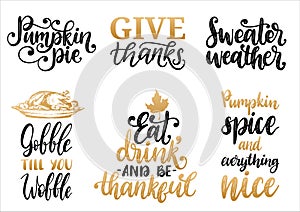 Sweater Weather,Give Thanks,Pumpkin Pie etc.,vector handwritten calligraphy set.Drawn illustrations for Thanksgiving day