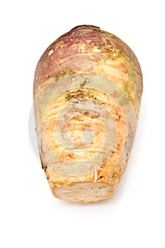 Swede isolated on white