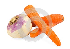 Swede Swedish turnip