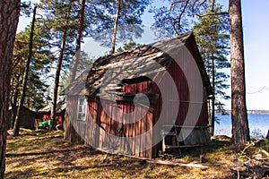 Sweden on the island within the forest with sheds
