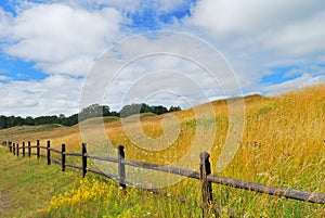 Sweden. Mounds of Old Uppsala photo