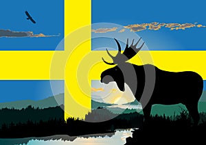 Sweden wildlife