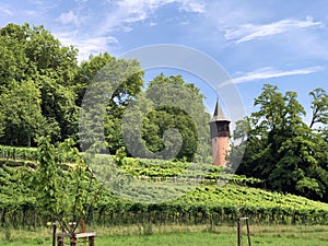 Swedes Tower or Schwedenturm Flower Island Mainau on the Lake Constance or Die Blumeninsel im Bodensee