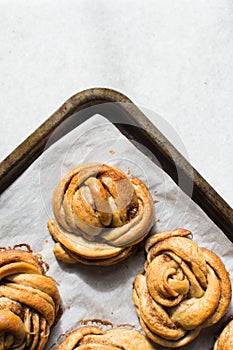 Swedish cinnamon buns on a parchment lined baking sheet