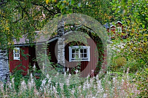 Swedish cottage in autumn