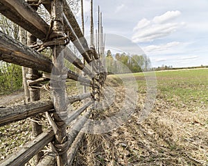 Swedish Farm Fence by Field