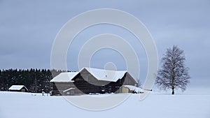 Swedish farm near Borgen in winter in Jamtland in Sweden