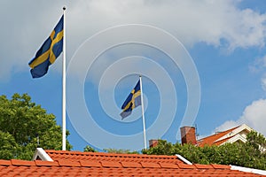 Swedish flags