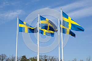 Swedish flags