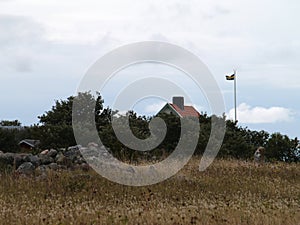 Swedish house hiding behind hedges