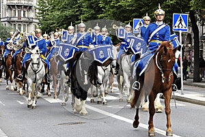 Swedish King's Guard