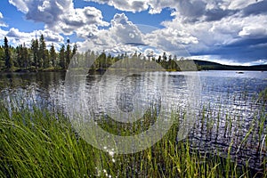 Swedish lake and landscape