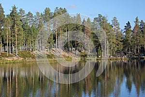 Swedish Lake photo