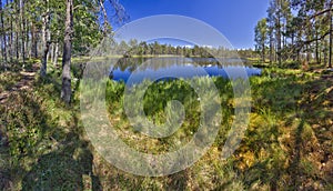 Swedish lake panorama