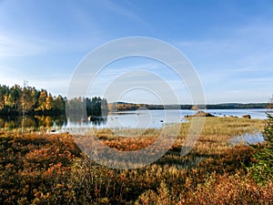 Swedish lake shoreline