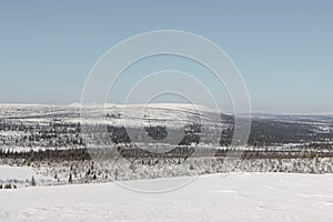 Swedish Lapland on a sunny March day